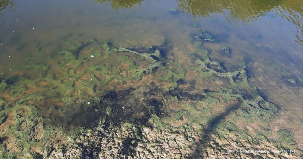 Новини України - Річку в Луганську окупанти перетворили на токсичний колектор - ЦНС