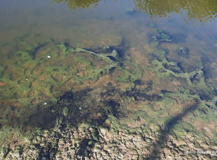 Новини України - Річку в Луганську окупанти перетворили на токсичний колектор - ЦНС