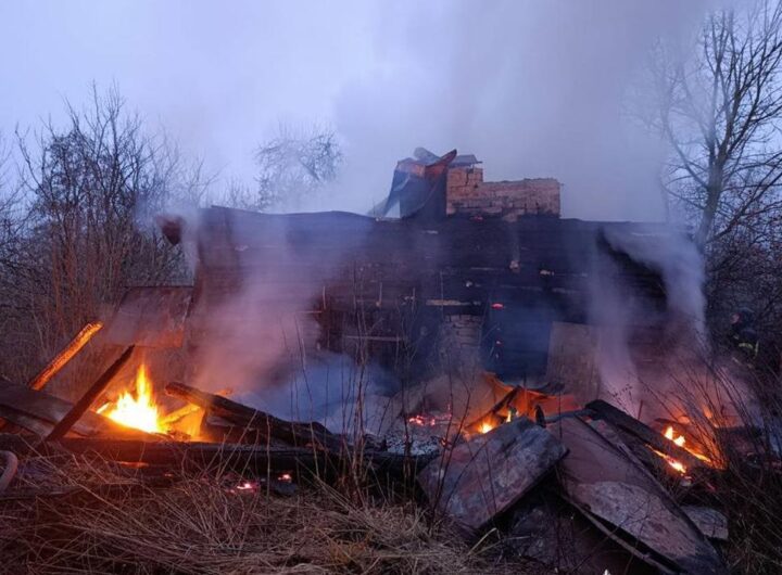Новини України - Росіяни обстріляли ферму на Чернігівщині: загинули корови