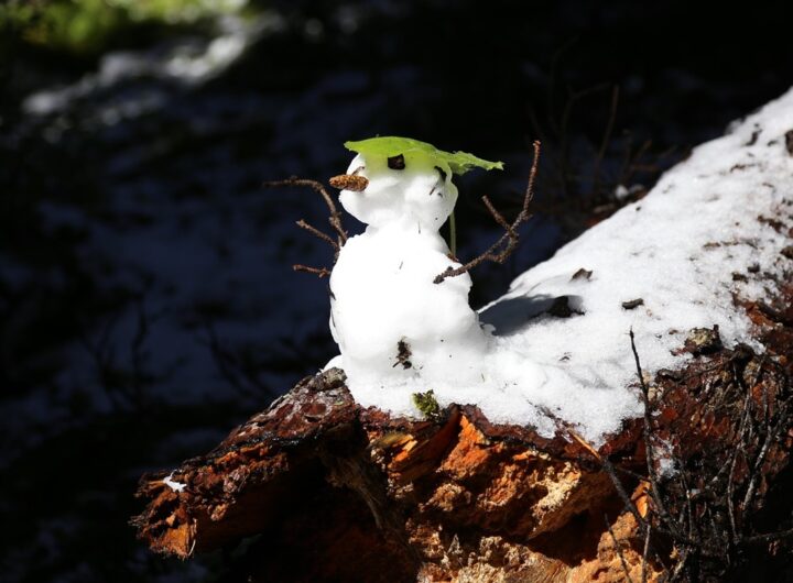 Новини України - Синоптики дали прогноз погоди на січень 2026 року