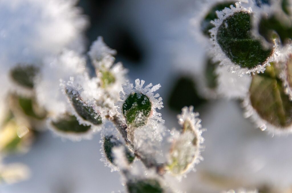 Новини України - Синоптики розповіли, якою буде погода на Різдво