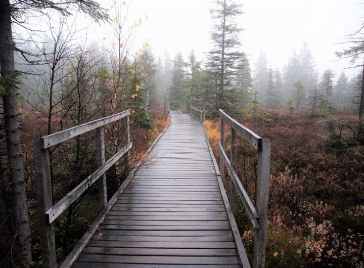 Новини України - Синоптики розповіли, якою буде погода в Україні на вихідних