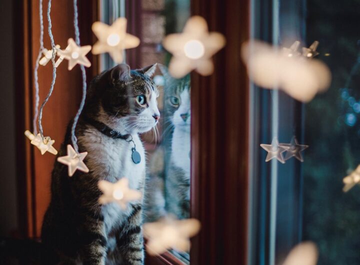 Новини України - Синоптики спрогнозували, якою буде погода в неділю