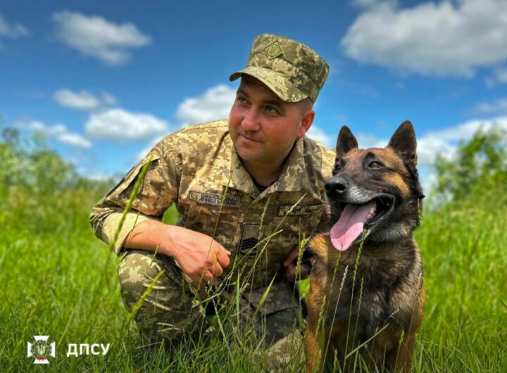 Новини України - Собаки - герої України: відбулася третя церемонія нагородження