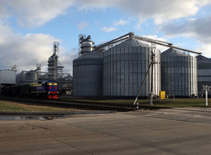 Новини бізнесу - В Україні зібрали майже 60 млн тонн зерна