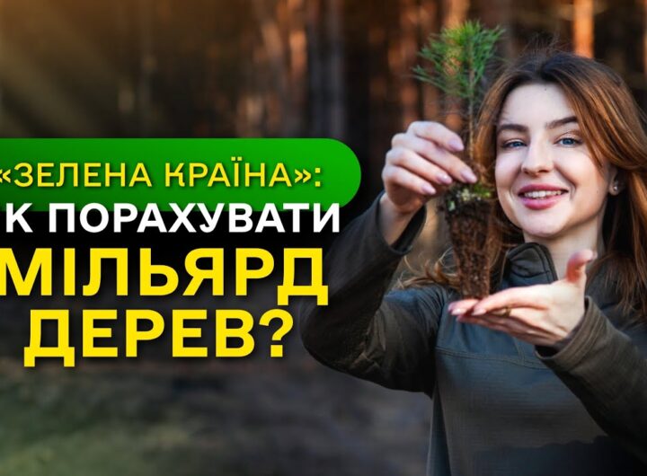 МІЛЬЯРД ДЕРЕВ зʼявився в Україні / як ДП "Ліси України" реалізували програму ЗЕЛЕНА КРАЇНА?
