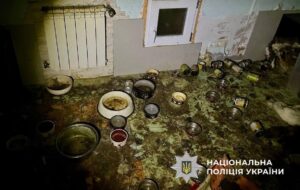 Новини України - Загибель понад 50 котів на Київщині: стали відомі нові деталі