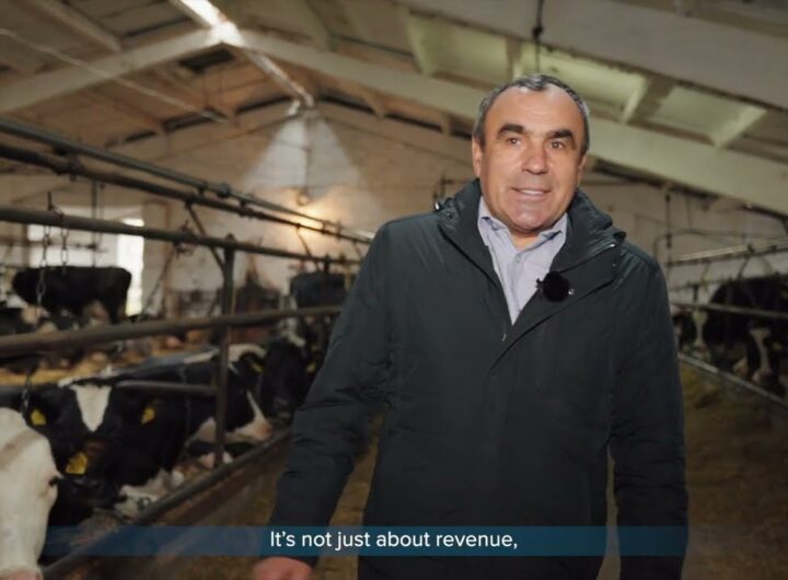 ARISE: Історії стійкості – відеопроєкт про результати підтримки українського бізнесу