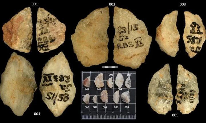 Технології - Археологи знайшли найдавнішу отруйну зброю людства віком 60 тис років