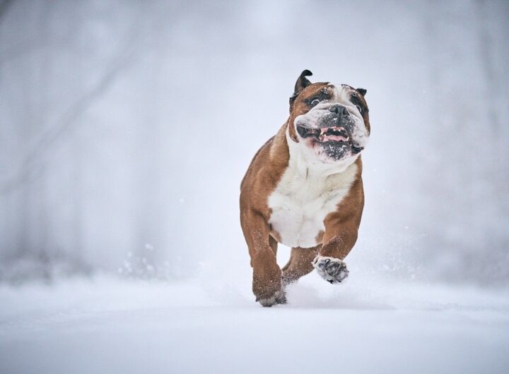 Новини культури - Гороскоп для всіх знаків зодіаку на 15 січня 2026 року