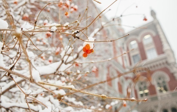 Новини бізнесу - Нацбанк знову зміцнив курс гривні