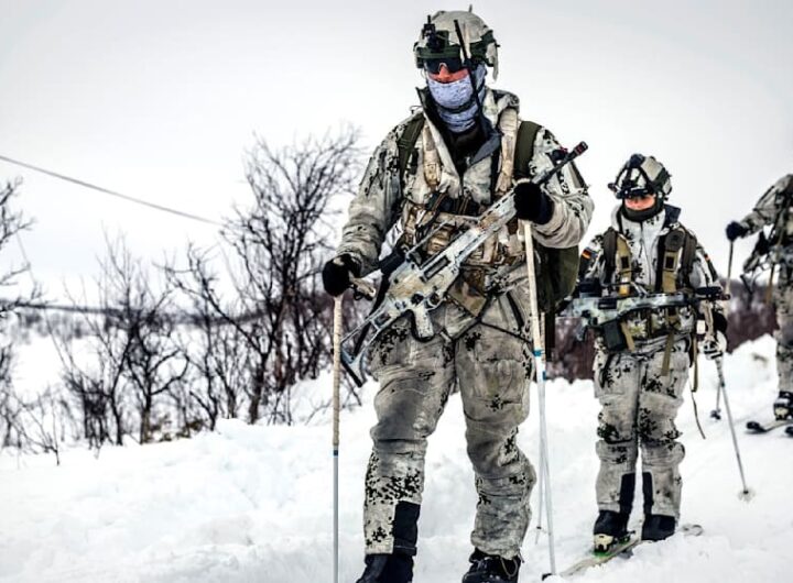 Новини світу - Німеччина відправляє солдатів до Гренландії