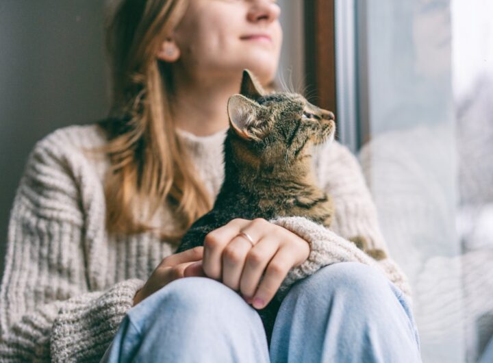 Новини України - Синоптики прогнозують в Україні морози до -14&deg;